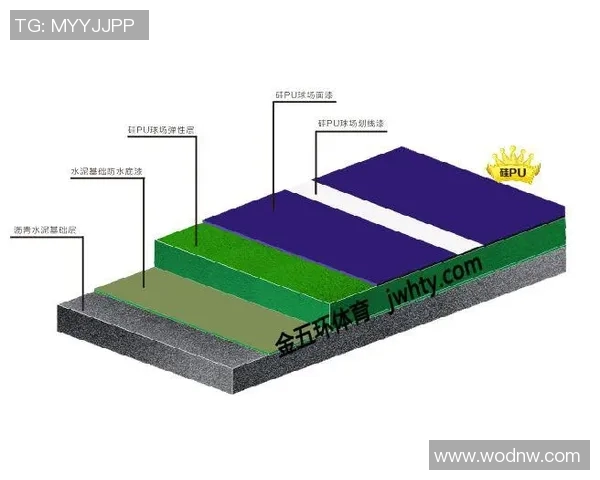 球场翻新项目融资策略探讨与实施路径分析