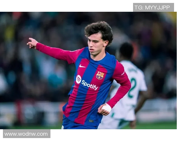 赫塔菲的硬朗足球风格解析与战术特点探讨