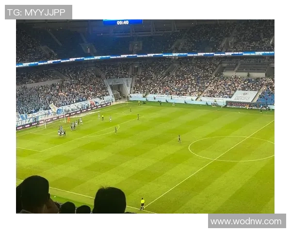 探索拜合拉木头球在深圳新鹏城的魅力与发展潜力