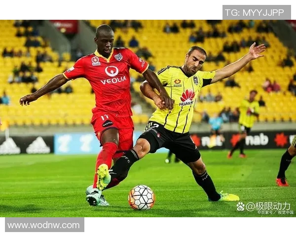 阿德莱德联足球队的崛起与挑战探讨及未来发展展望